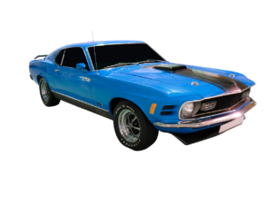 Havalimanı Kınık Transfer