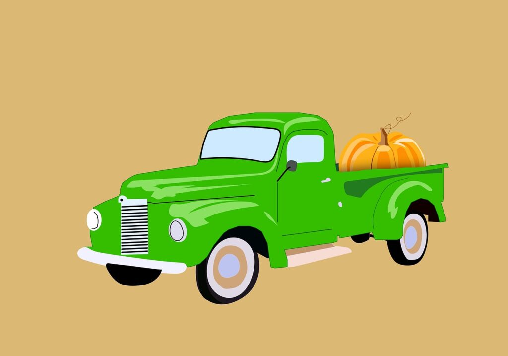 Kemalpaşa Korsan Taksi