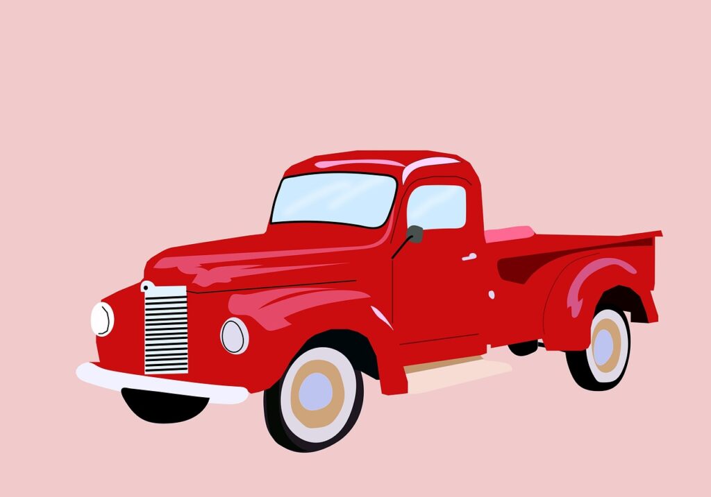 Selçuk Korsan Taksi